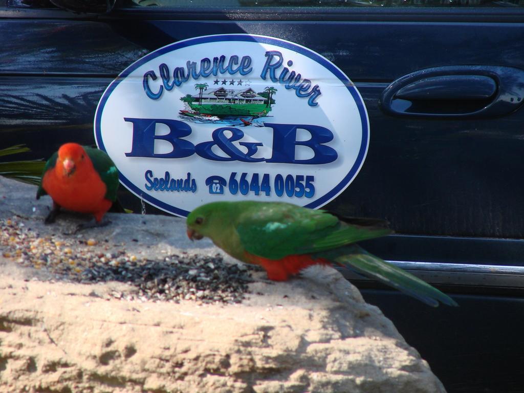 Clarence River Bed & Breakfast Grafton Exterior foto